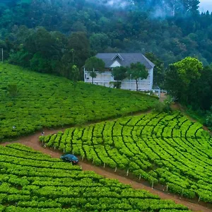 Курортный комплекс Tea Harvester